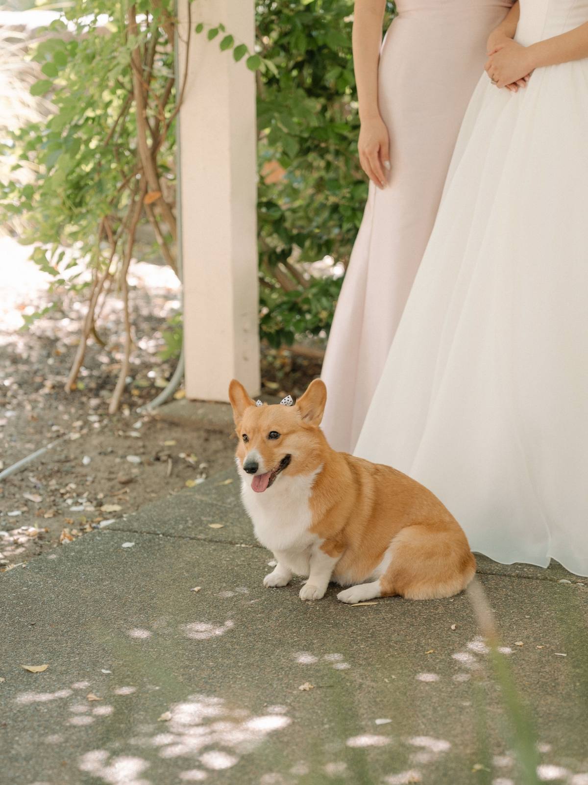 Photograph 17 from the MacArthur Place Hotel wedding story